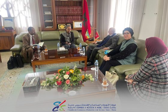 Réception de Son Excellence Mme Nardos Ayalew Belay, Ambassadrice de la République Fédérale d’Éthiopie